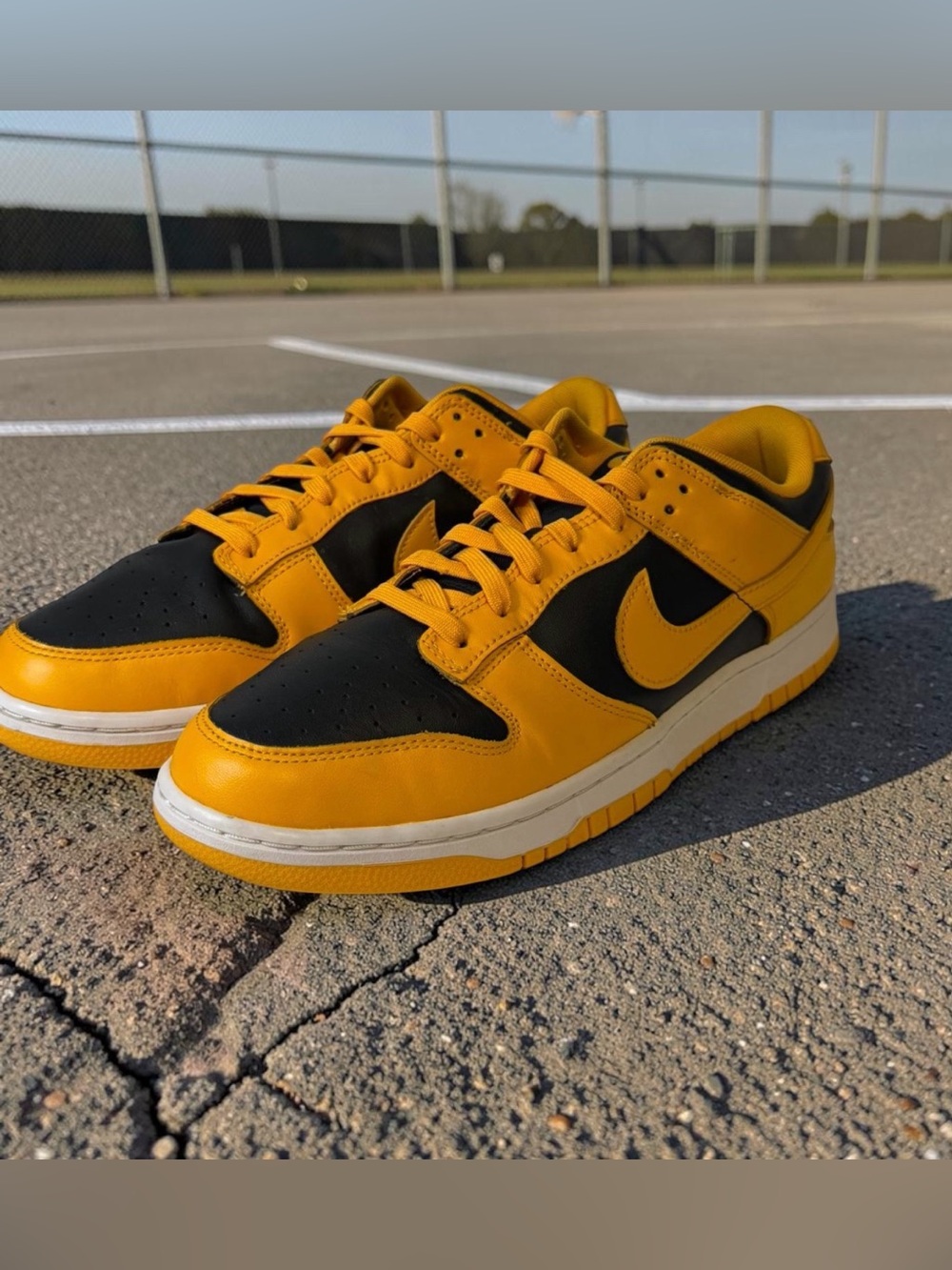 Nike Dunk low Golden Rod size 12.
